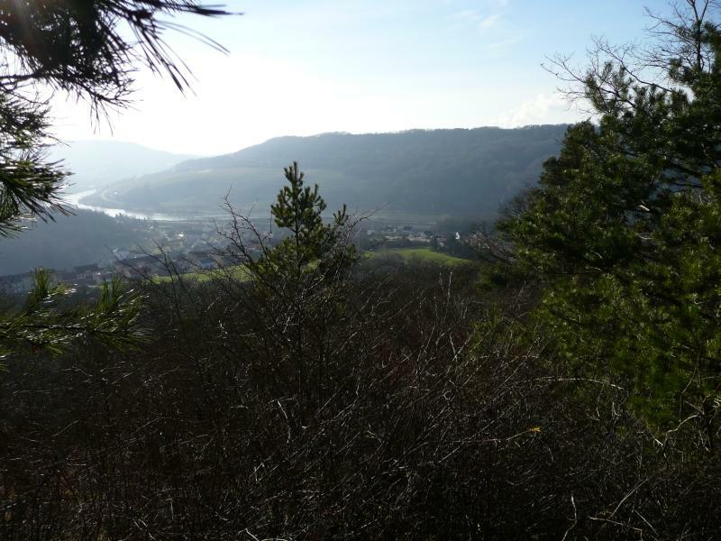 Blick vom Panoramaweg Perl nach Frankreich